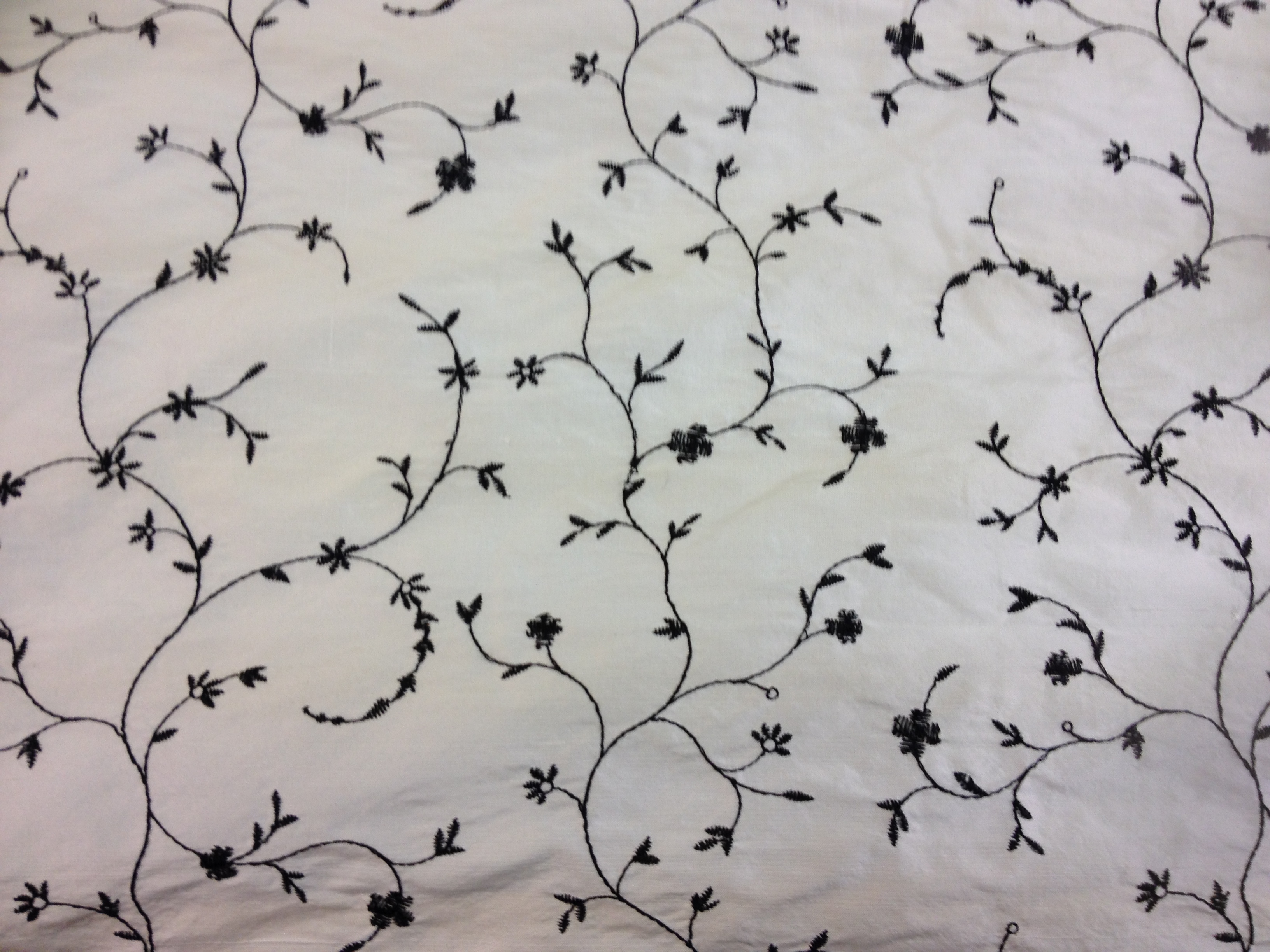 Black Vine - Image 1