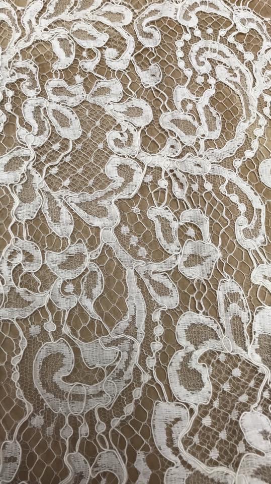 French Light Corded Lace - Image 1