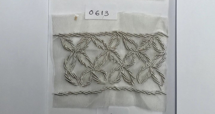 Organza Embroidered Borders - Image 1